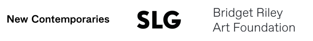 New Contemporaries, SLG and Bridget Riley Art Foundation logos