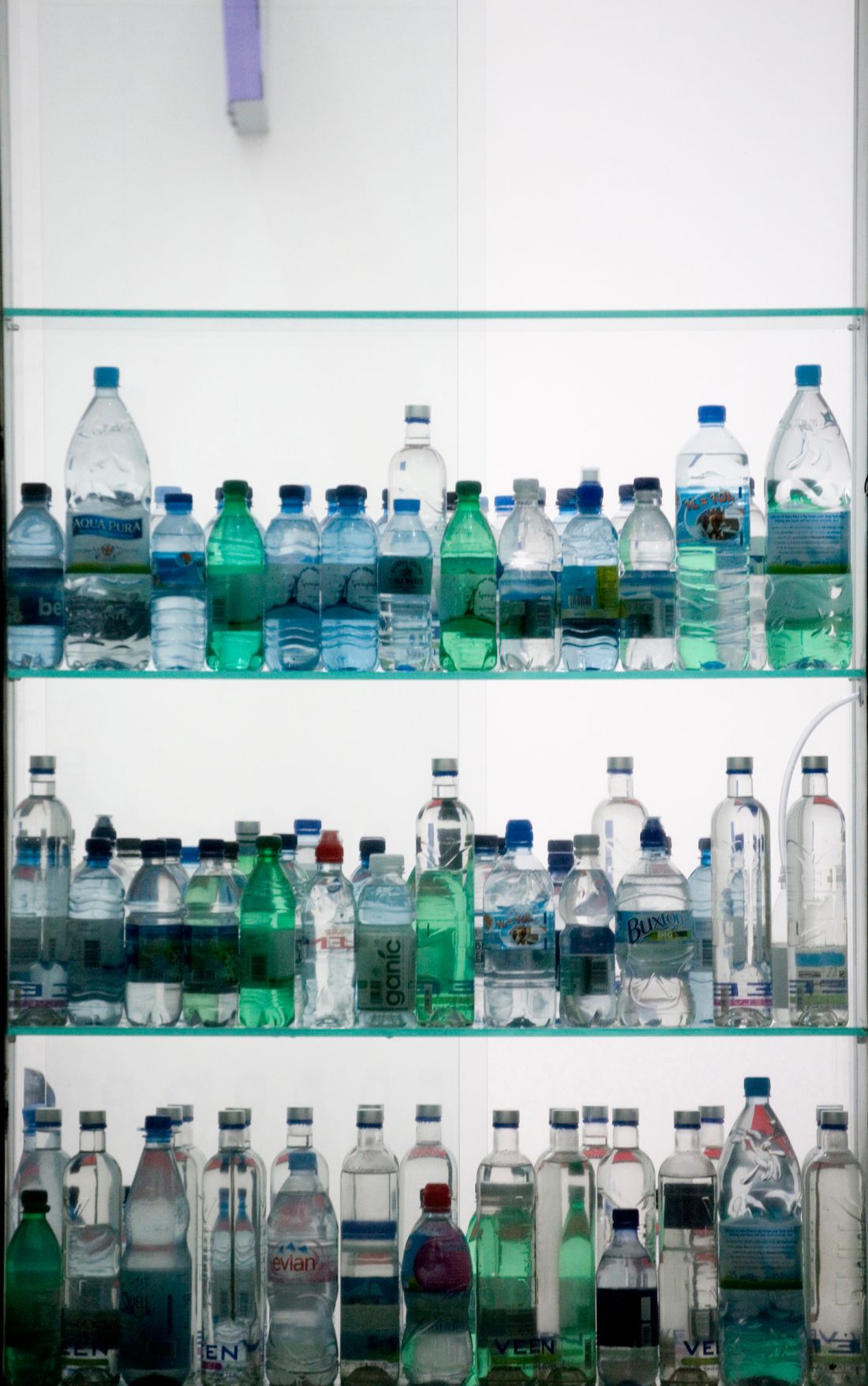<p>Tue Greenfort, <em>Condensation</em>, 2008. Photo: Dominic Tyler. Courtesy: Frieze, London</p>