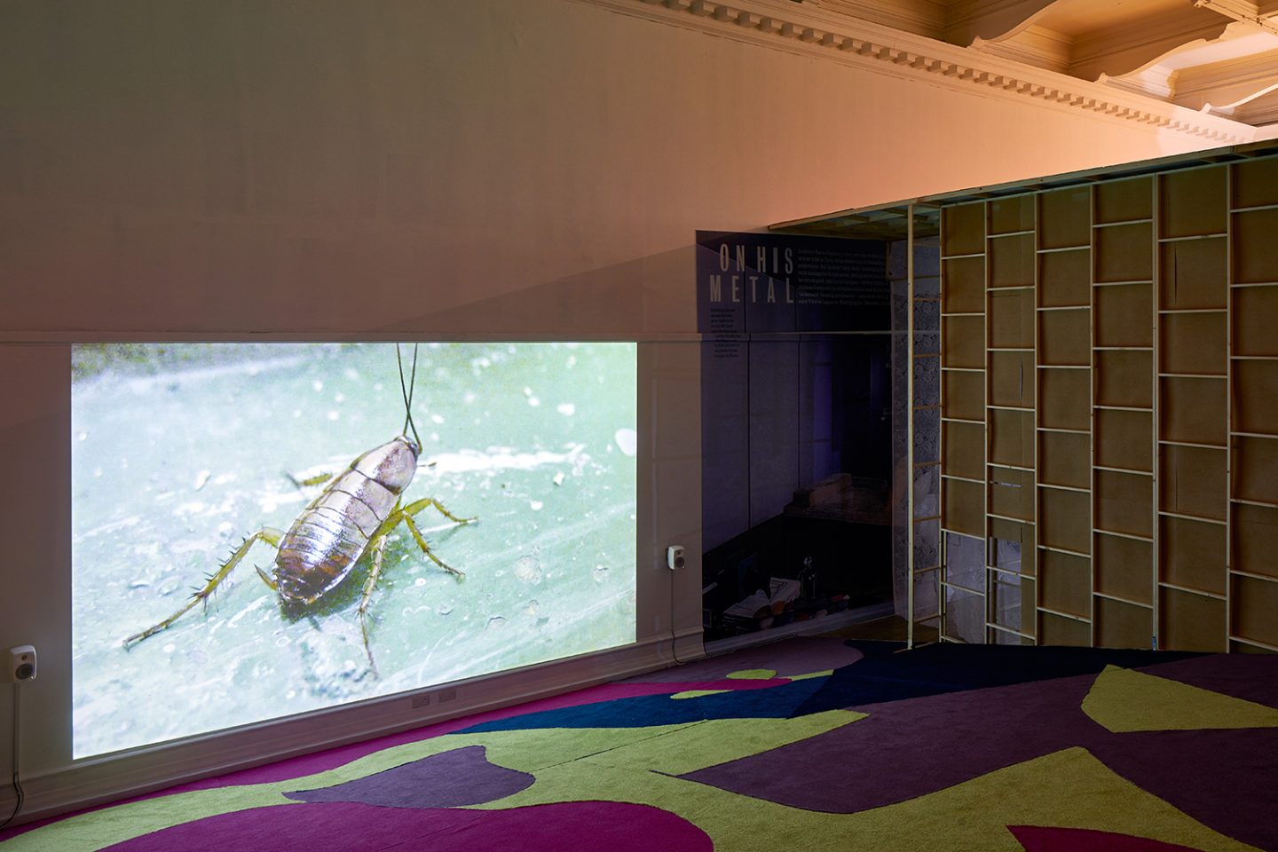 Installation view of the architectural structure built as part of the show.