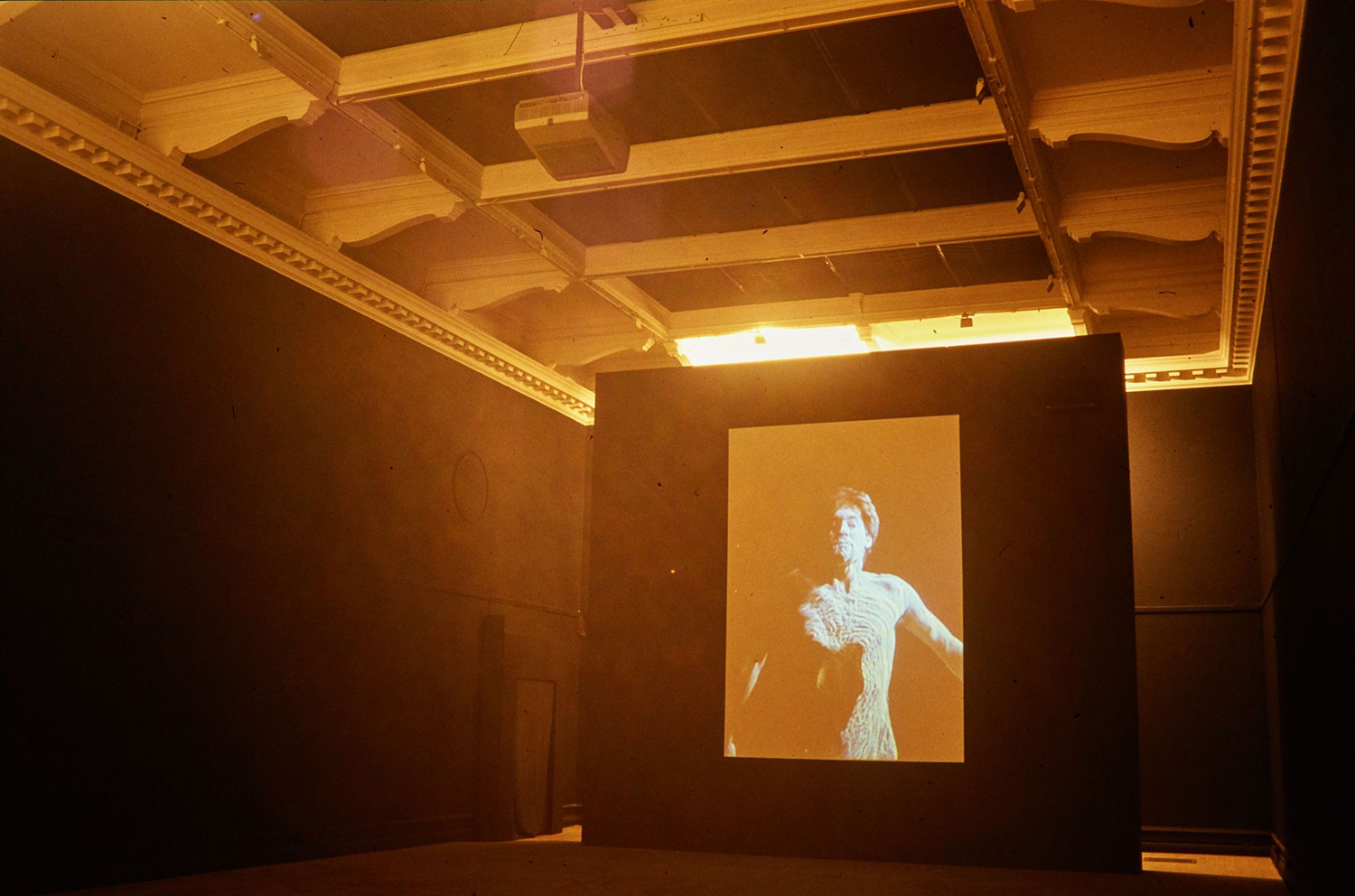 Bill Viola: The Messenger