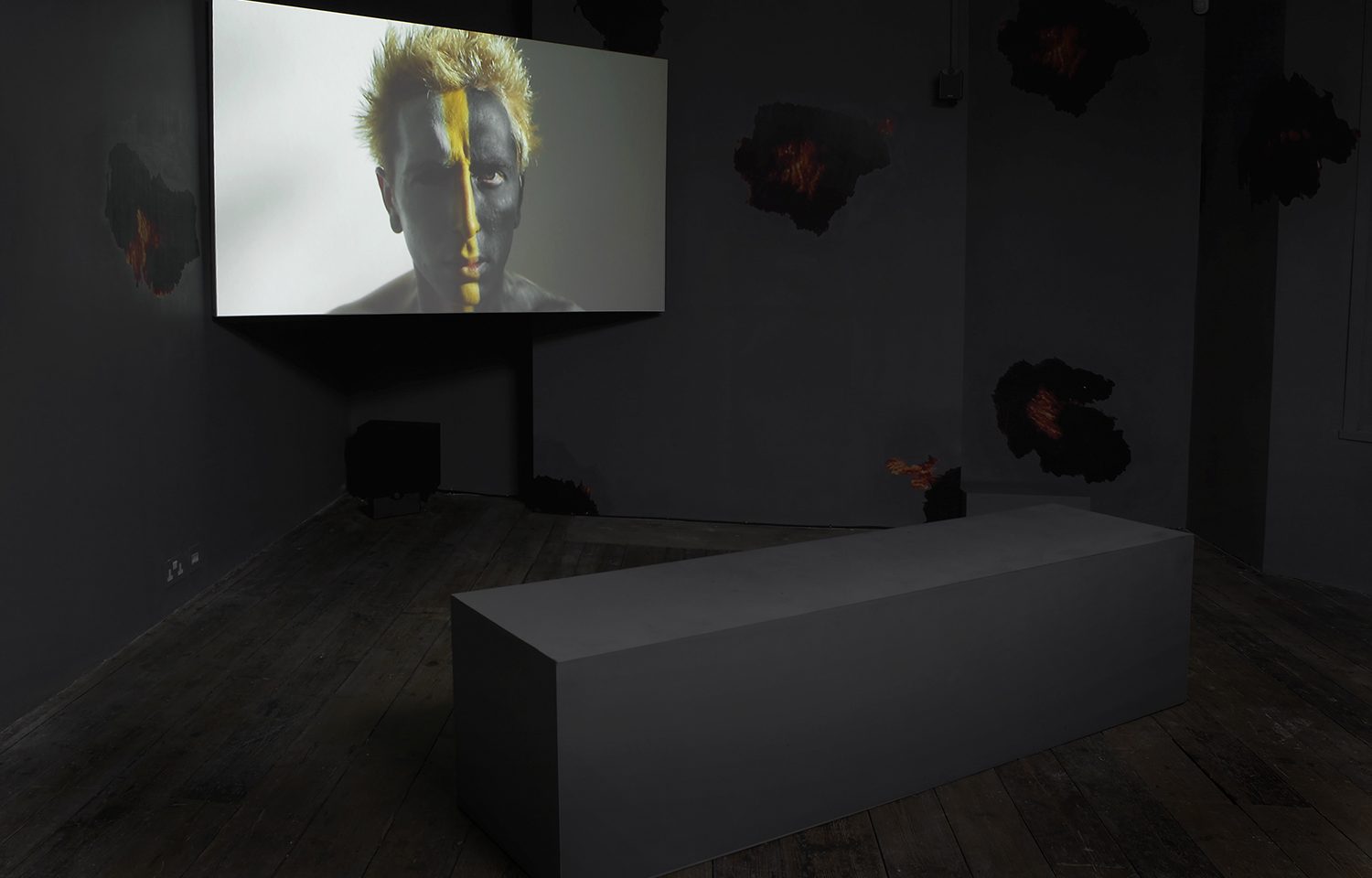 Installation view of Oh wicked flesh!. Image courtesy of the artist and the South London Gallery. Photo: Andy Keate