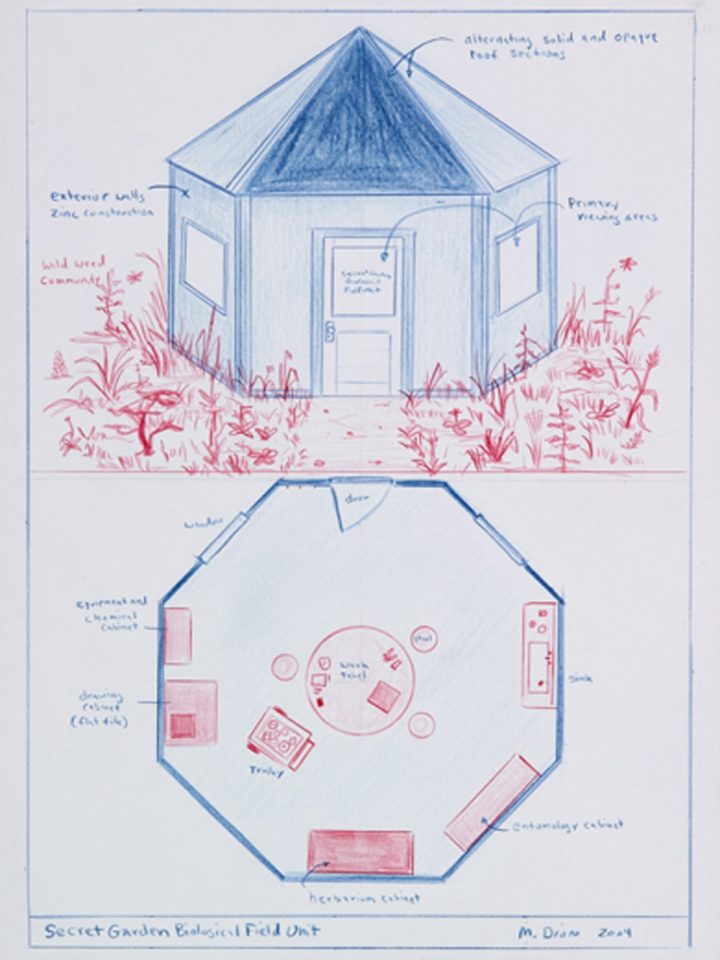 Mark Dion, The Secret Garden Biological Field Unit, 2004, coloured pencil on paper