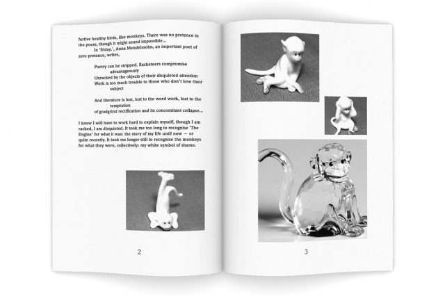 Small White Monkeys Book Launch