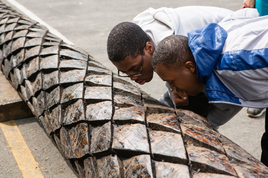 <p>Two young people from Highshore School inspecting the douglas fir tree’s trunk as part of Heather and Ivan Morison’s <em>Shadow Curriculum</em>, 2013-2015. Photo: Wig Worland</p>