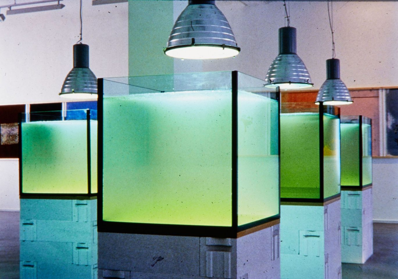 Installation view from Twin Gabriel&#8217;s 1997 exhibition Floating – Floccinaucinihilipilification.
