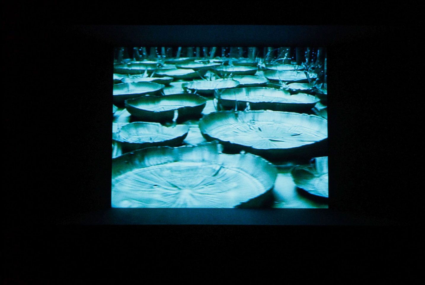 Installation view of Saskia Olde Wolbers&#8217; 2005 exhibition.
