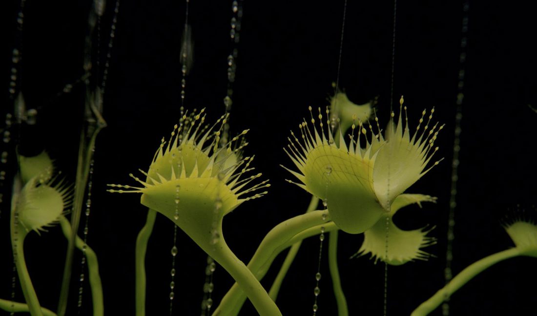 <p>Film still from a moving image work included in Saskia Olde Wolbers’ 2005 exhibition. Courtesy: the artist</p>