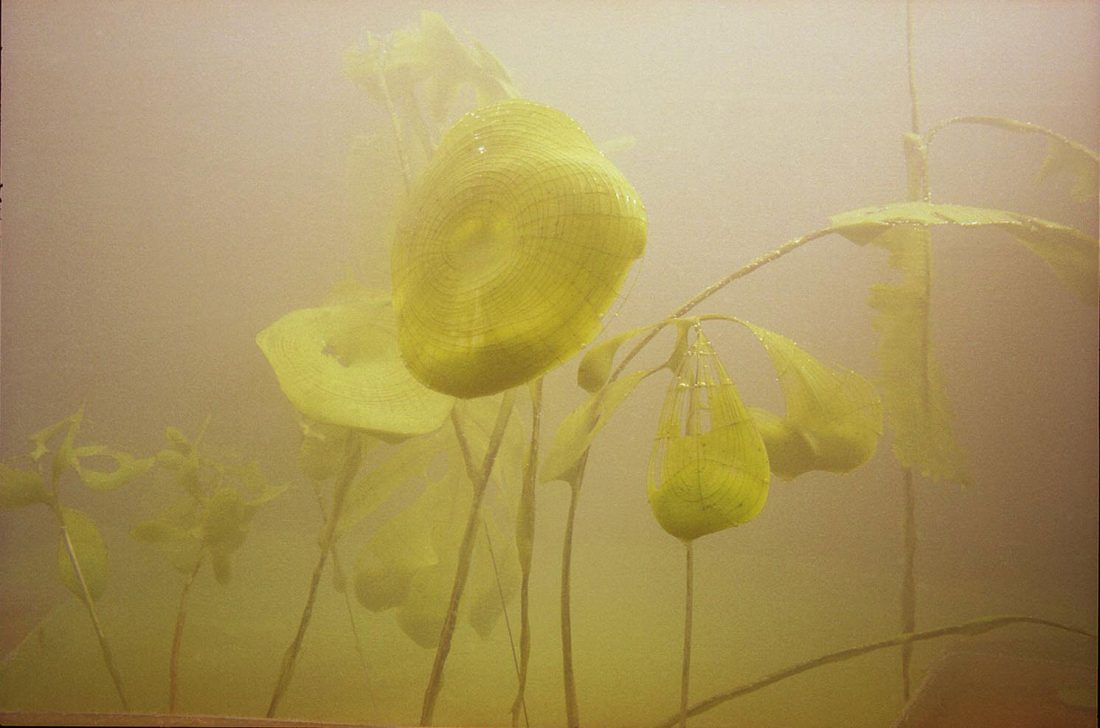 <p>Film still from a moving image work included in Saskia Olde Wolbers’ 2005 exhibition. Courtesy: the artist</p>