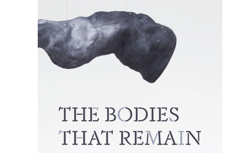 The bodies that remain cover