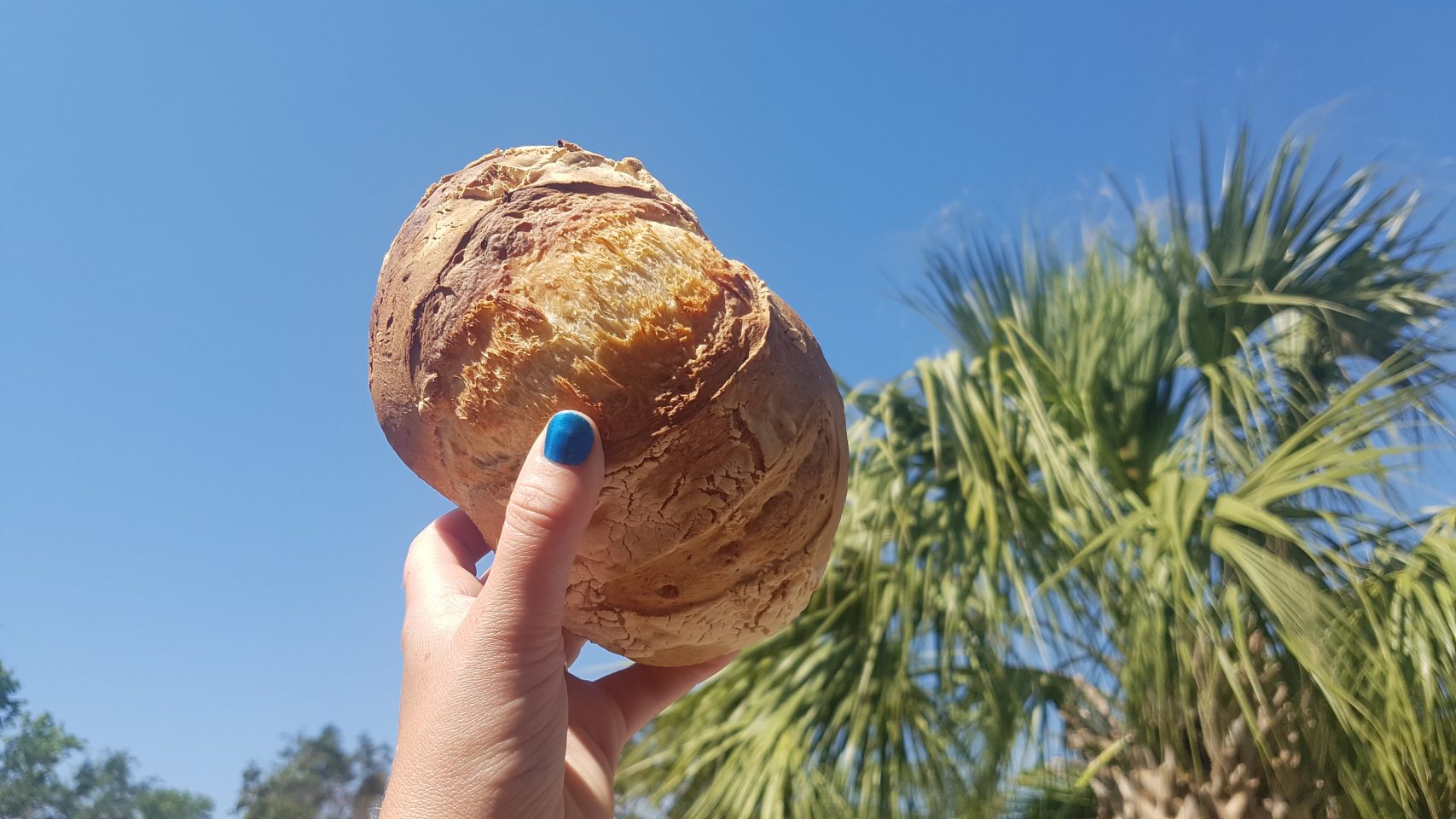 Hand with blue fingernails holding a bread roll against a backdrop of a blue sky and a palm tree