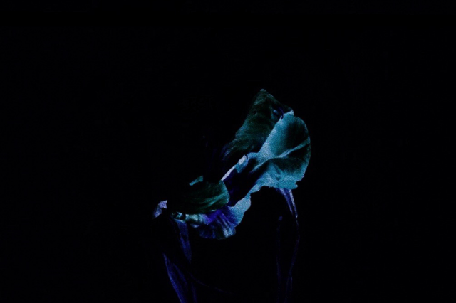 Performance: Cõvco: Concient of the Soul