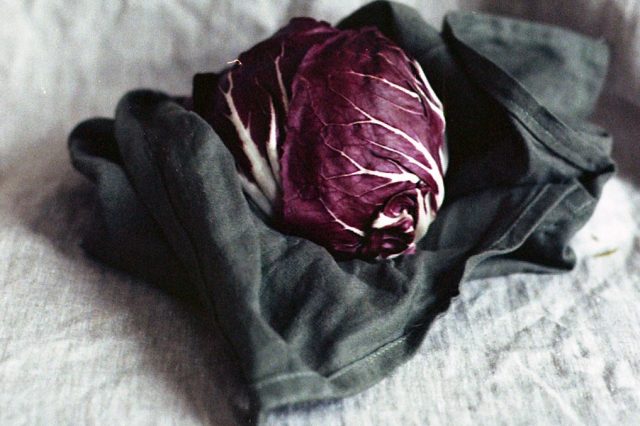 SLG Skills: Natural Dyes Workshop