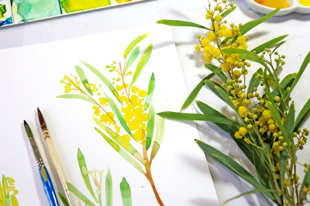 SLG Skills: An Introduction to Botanical Watercolours