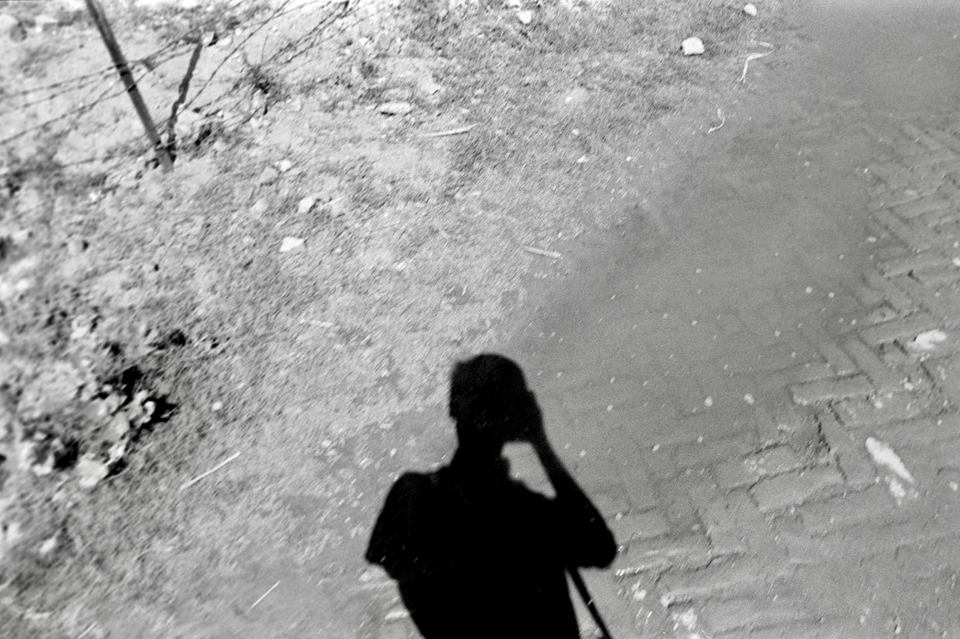 A person takes a photo of their shadow on the ground; only the top of their body is visible in shadow