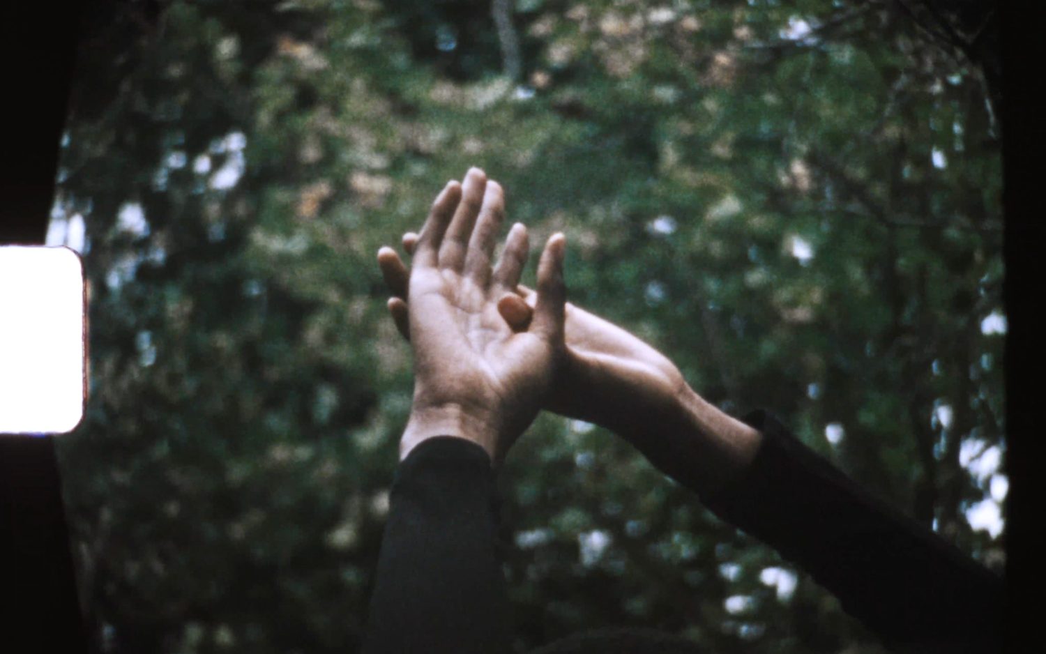 A person's hands are held up, slightly touching, with a background of a grassy meadow