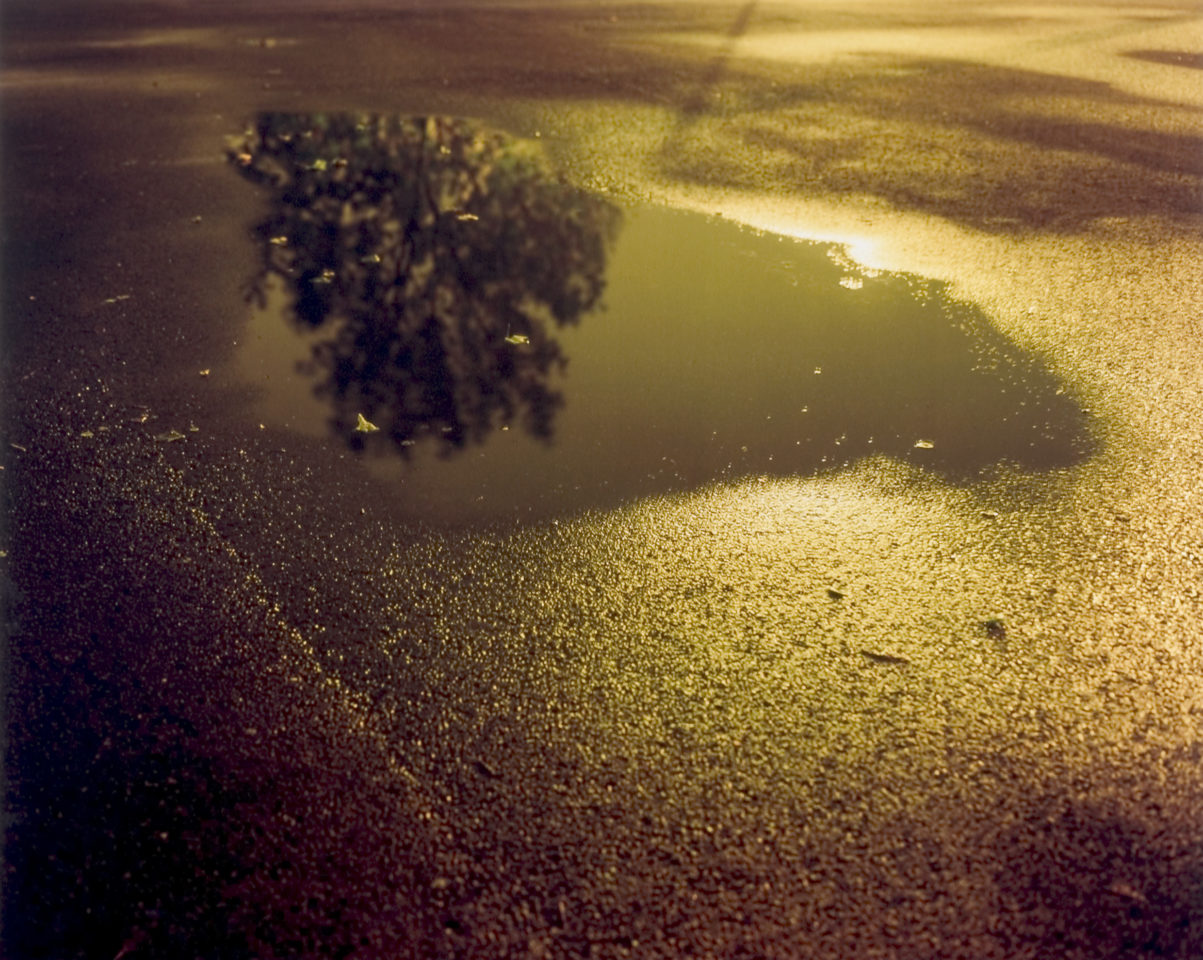 Feuchte Blätter (Moist Leaves Moist Sheets); Die Ziehende Tiefe (The Wandering Depth)