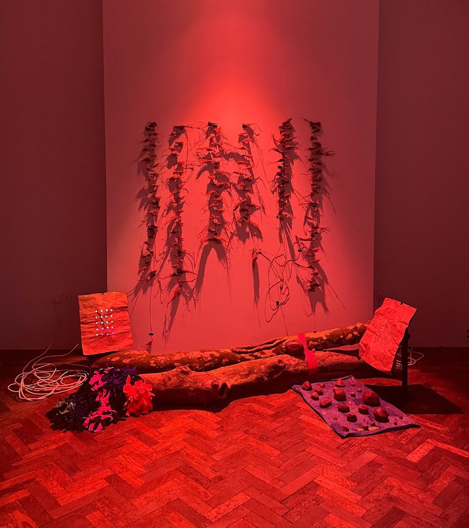 <p>Las Nietas de Nonó, <em>después de todo territorio</em>, 2022. Installation at the South London Gallery.</p>
