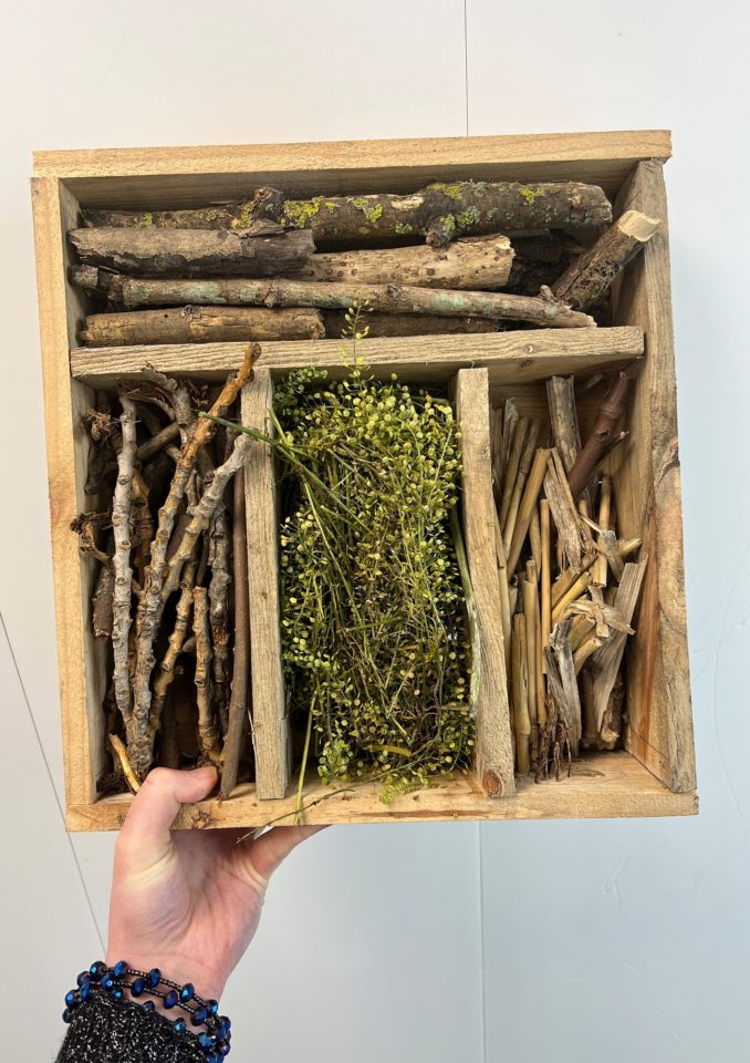 A hand holds out a wooden box with leaves and twigs
