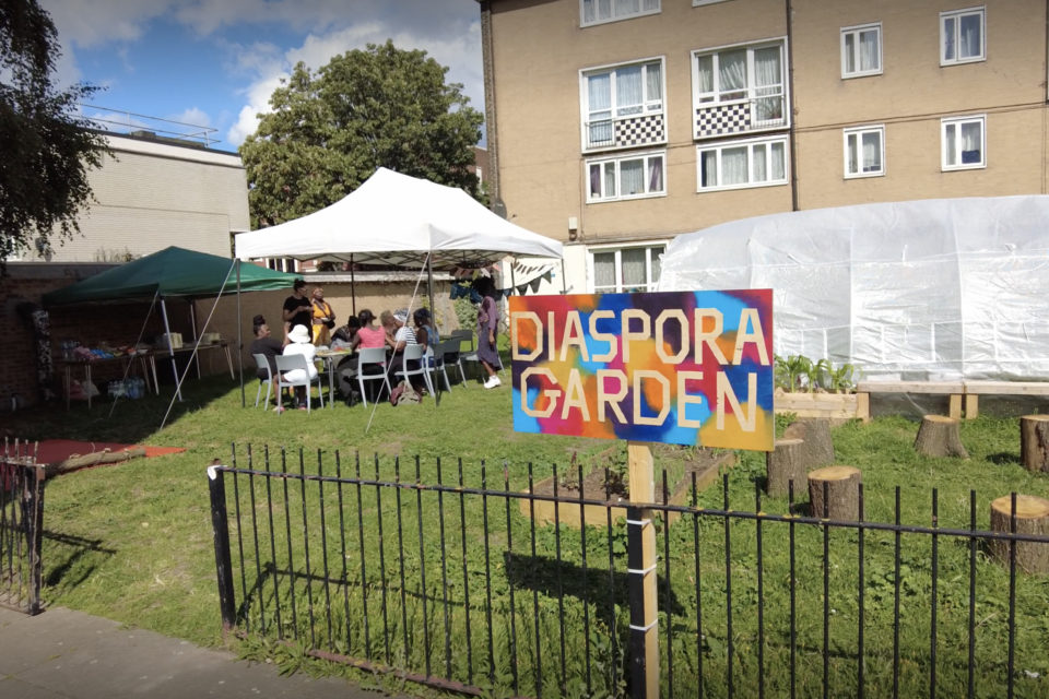 The Diaspora Garden: Watering Connections diaries