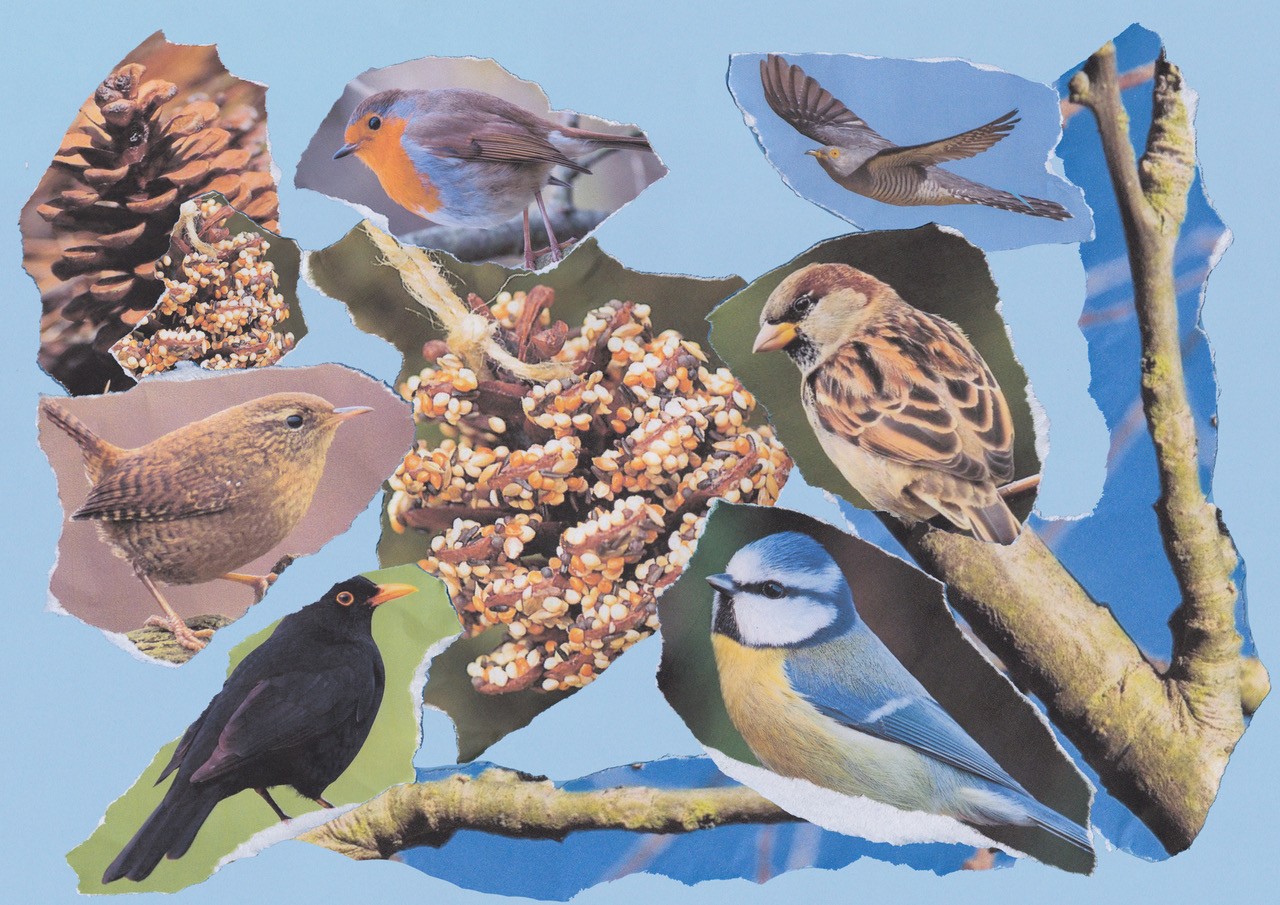 A collage artwork of birds and a bird feeder on a blue background.