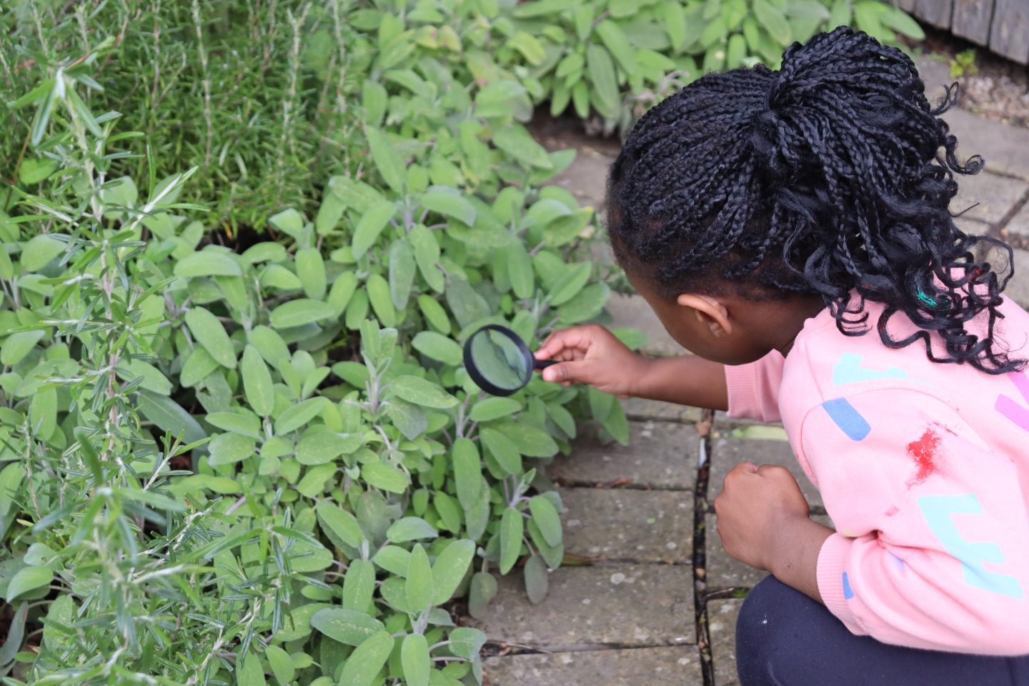 A young child kneels down and looks at some plants with a magnifying glass