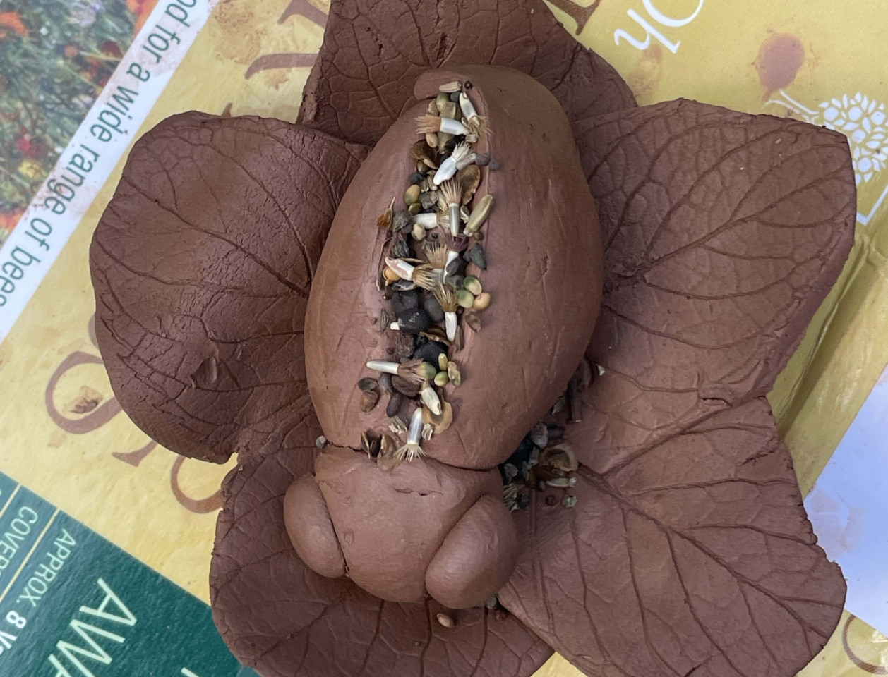 Photograph of a clay sculpture filled with seeds