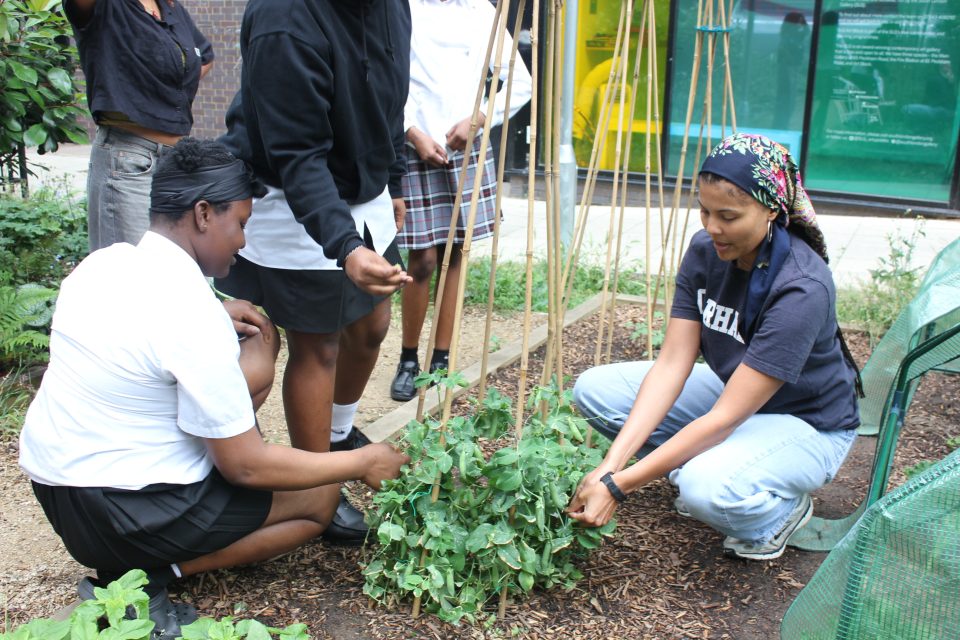Interview with Tanya Wilson, Residents&#8217; Programme Assistant