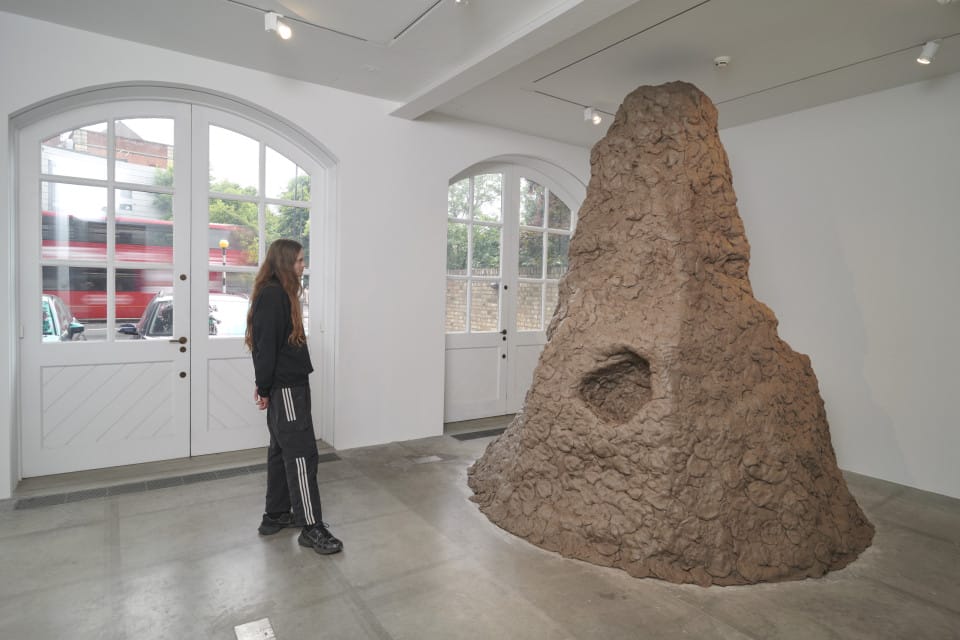 MUSEO JUMEX IN RESIDENCE