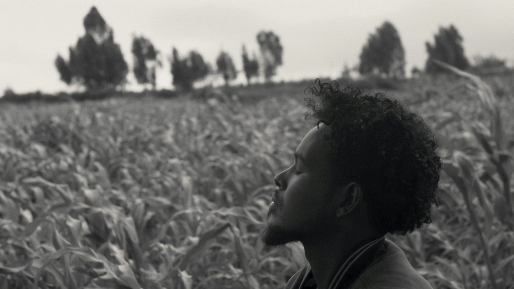 Black-and-white image of a person seated in a field of crops, shown in profile against a distant tree-lined horizon.
