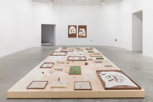 Kang Seung Lee: Weeds of Cultivation